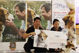 带着狗狗看电影，“认真脸”的秋田犬你看懂了没？