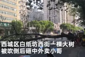 北京8级大风吹倒大树 送餐员被砸身亡视频封面