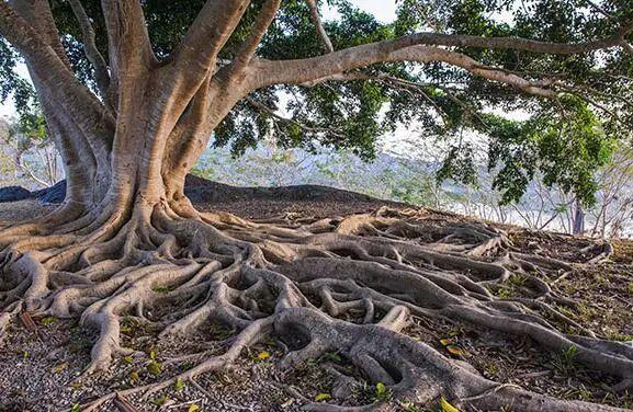 在国外要慎用的8个英语单词 Eight English words you shouldn't use abroad