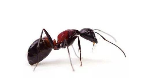 在国外要慎用的8个英语单词 Eight English words you shouldn't use abroad