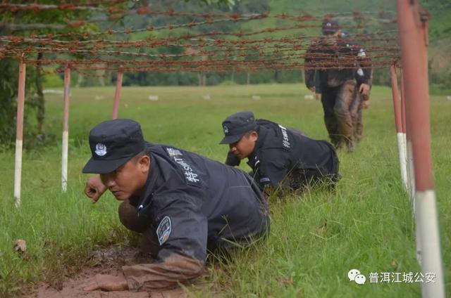 520警察求生攻略，你确定你不想看一眼？
