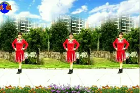 琪姐快乐广场舞《无法忘记你》