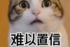 利润惊人，南宁群租房房源多在二房东手中，风险却被摊在……图片