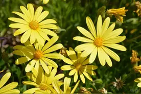 夏天，不想胃痛，少碰2物，多食3蔬，常饮4水，胃好少遭罪图片