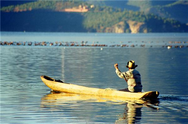 2025年11月2日 第48页