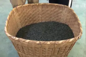 如何选择好的六安瓜片？视频封面