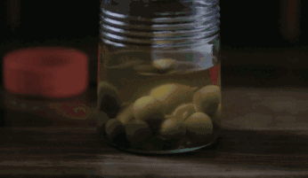 青梅吟雪是啥植物（古法酿造的梅酒）