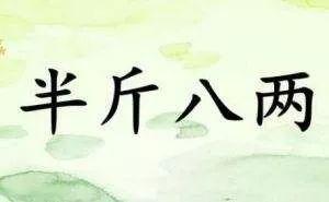 半斤八两，是半斤=八两吗？
