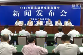 第16届中国林交会将设国际标准展位2000个视频封面