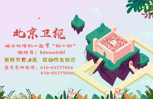 屋里有飞虫怎么办