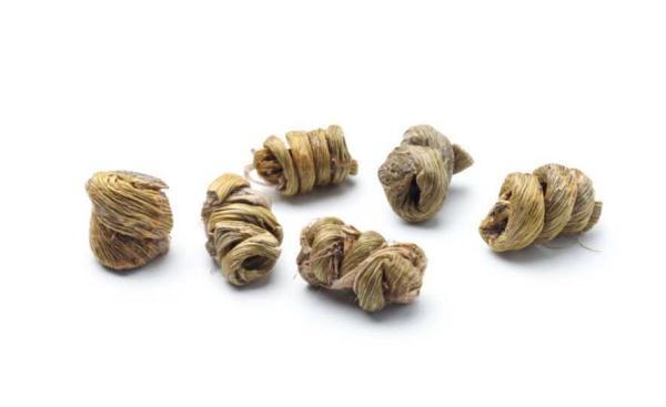 铁皮石斛的功效与作用及食用方法 2026年铁皮石斛作用和功效