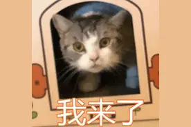 深圳两份补贴终于来啦！不限户籍！速来申请图片