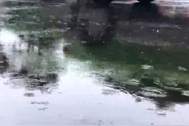 小雨间断洒落 成都东边小心6级大风视频封面