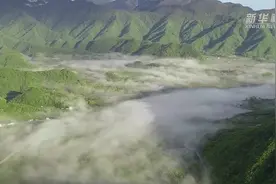 醉美神农架大九湖视频封面