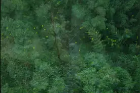 城市·印象丨爽一“夏”视频封面