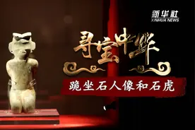 寻宝中华丨跪坐石人像和石虎视频封面