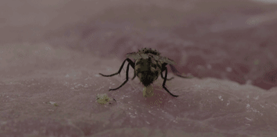 「提醒」最新！“酱油生虫”科研成果出炉，真相来了！