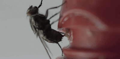 「提醒」最新！“酱油生虫”科研成果出炉，真相来了！