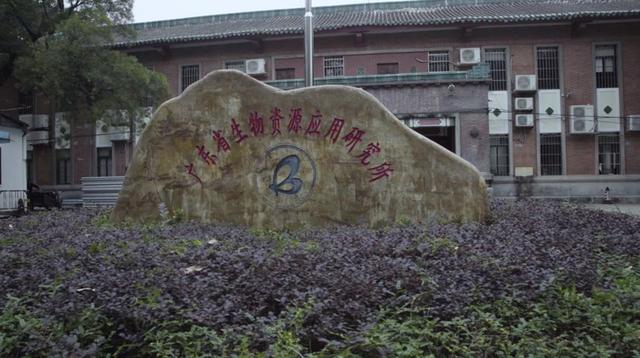 「提醒」最新！“酱油生虫”科研成果出炉，真相来了！