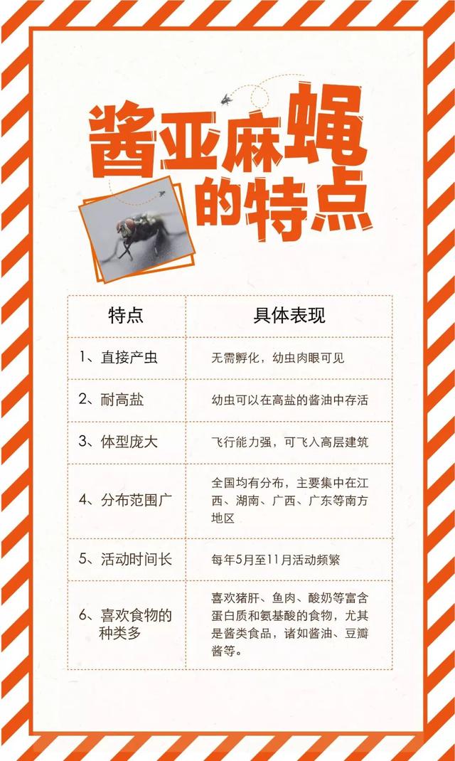 「提醒」最新！“酱油生虫”科研成果出炉，真相来了！