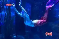 “90后”女孩从射击女将变身“美人鱼” 水下八分钟游出童话世界视频封面