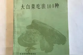 《二毛的老菜谱》第2期：关于大白菜，你不知道的一百种吃法视频封面