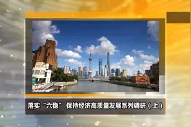 《新华视点》落实“六稳” 保持经济高质量发展系列调研（上）视频封面