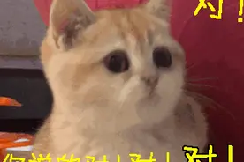 哈啰单车免费骑！共享单车消费体察活动在这↘图片