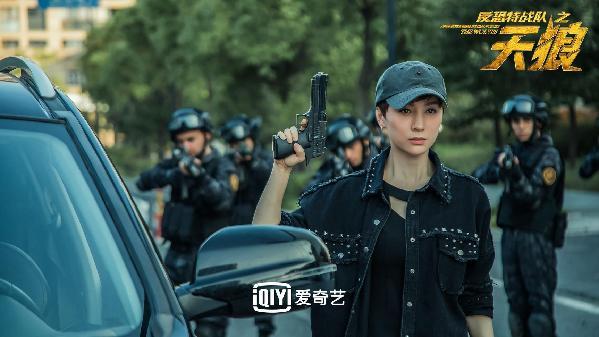 反恐特战队之天狼电视剧简介（反恐特战队之天狼收官 另类英雄宋安琪的悲情式落幕）