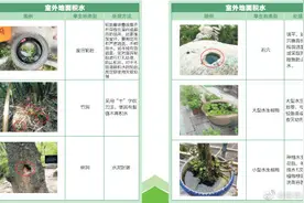 杭州疾控专家放灭蚊“大招”：倒掉积水，让花蚊子没有栖息之地图片