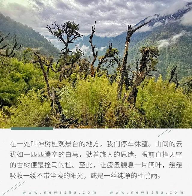 牧行藏彝（二.1）：灵与肉的传奇密码镌刻民族之谜