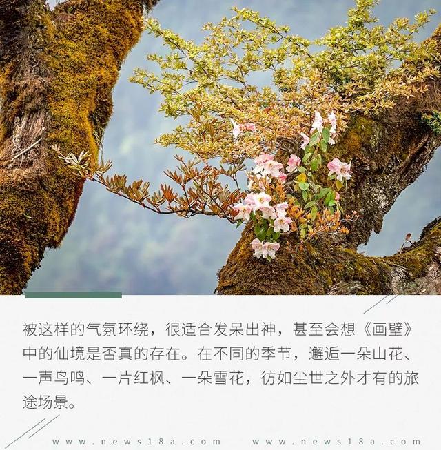 牧行藏彝（二.1）：灵与肉的传奇密码镌刻民族之谜