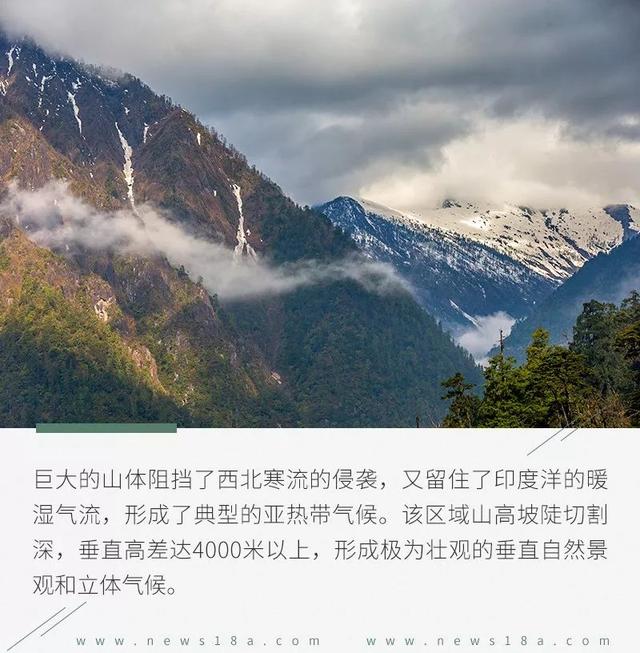 牧行藏彝（二.1）：灵与肉的传奇密码镌刻民族之谜