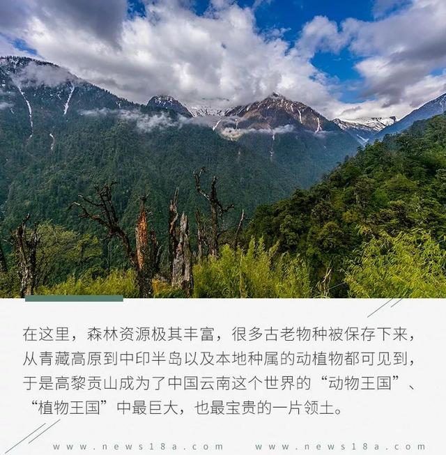 牧行藏彝（二.1）：灵与肉的传奇密码镌刻民族之谜