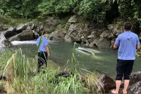 男子下车赏景忘拉手刹 巨响后回头：车掉沟里了图片