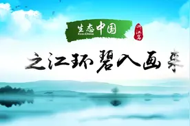 生态中国·之江环碧入画来视频封面