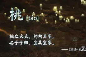 世园会上读《诗经》 品中国古人“花草世界”视频封面