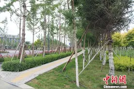 探访东方小夜曲《草原之夜》诞生地：“一带一路”支点城市绿色崛起图片
