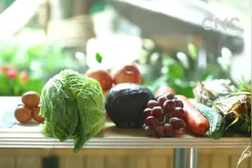 萌萌哒！动物们也过端午、吃粽子！视频封面