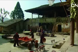 走进县区|涪陵榨菜——“青疙瘩”如何变成“金疙瘩”视频封面