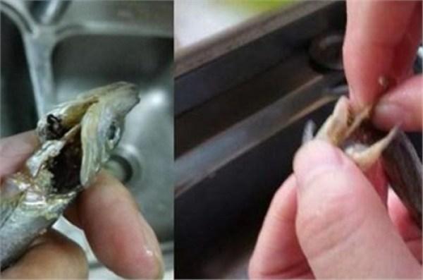 多春鱼怎么去内脏 了解此类美食的家常做法及烹饪技巧
