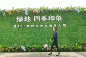 听枫何须踱长桥  穿越四季印象  下一站：听枫视频封面