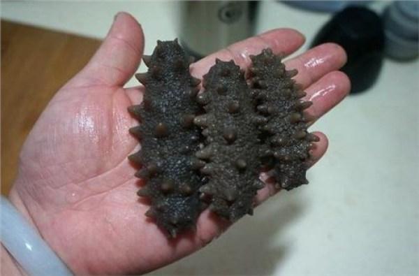 怎么发干海参最好方法 2026年怎么发干海参最佳方法窍门 怎么发干海参最好方法 2026年怎么发干海参最佳方法窍门