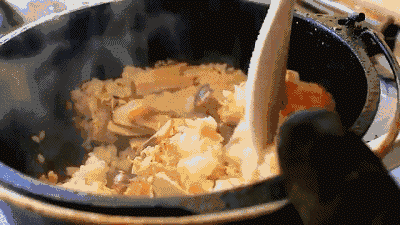 “菌中之王”松茸，你了解多少？