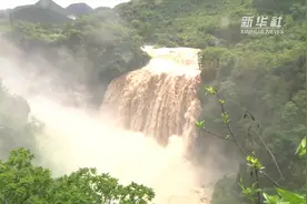 壮观！贵州黄果树瀑布迎来入汛以来最大洪峰视频封面