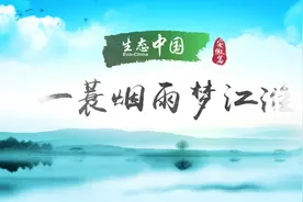 生态中国·一蓑烟雨梦江淮视频封面