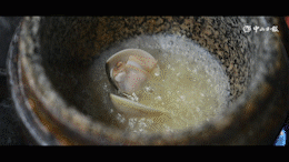 花胶煮北极贝裙 花胶贝柱汤