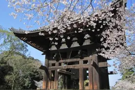 日本提出移民免费送房子，但看到这两个条件之后，很多人都犹豫了图片