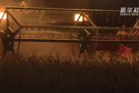河北衡水：连夜抢收小麦 力争颗粒归仓视频封面