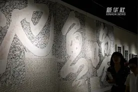 内含苏东坡手迹 ！四川眉山展出古代石刻“抢救性记录”拓片视频封面